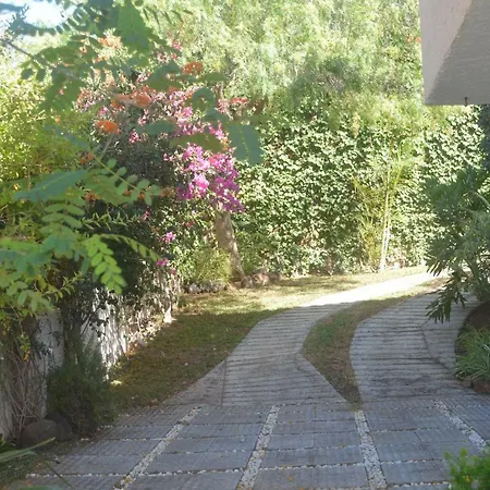 Jacaranda Villa *